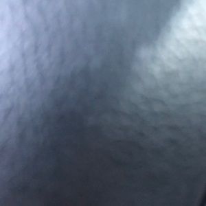 Meet your Posher, Paulina